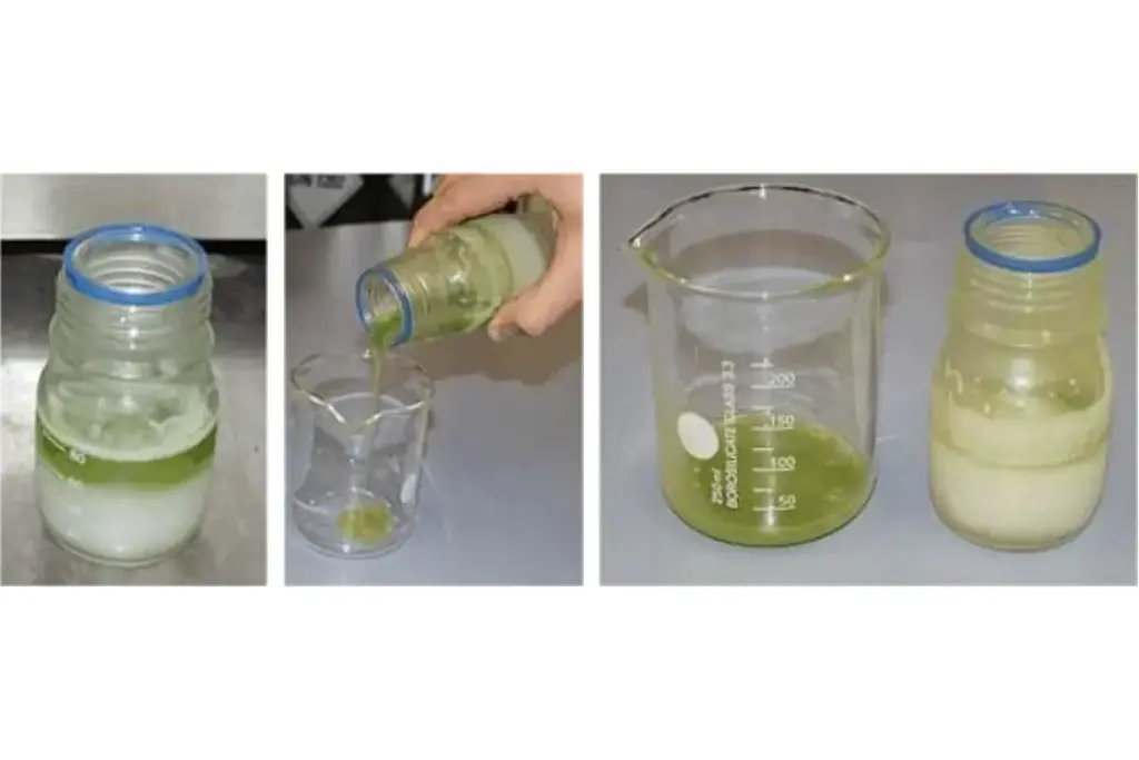 Separação de óleo e água por congelamento da amostra